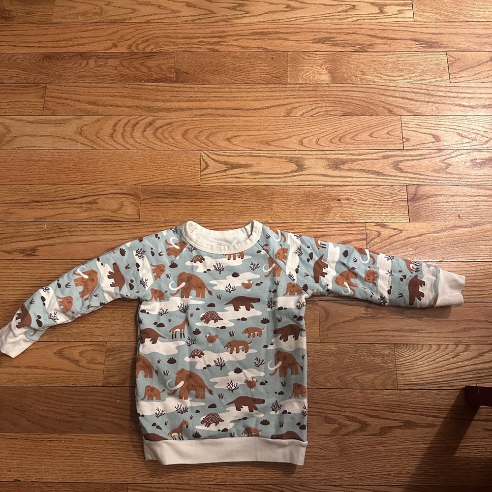 Cute Animal Print Sweatshirt, Size 6